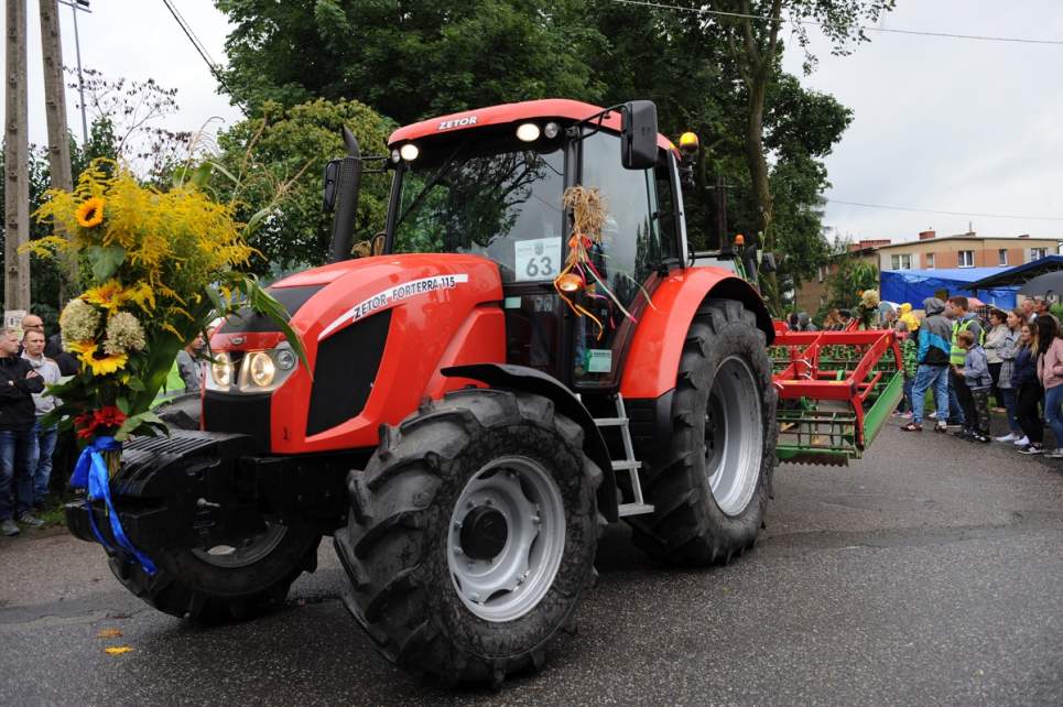 Dożynki Gminne w Drogomyślu 2017